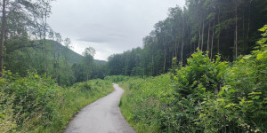 Beitragsbild des Blogbeitrags 9.6.24 - Schwechatbach