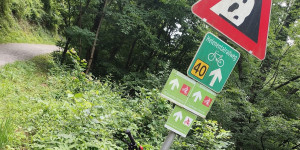 Beitragsbild des Blogbeitrags 13.6. 24 - Doblhoffpark 