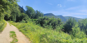 Beitragsbild des Blogbeitrags 17.6.24 - Thallern-Strecke extended