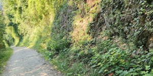 Beitragsbild des Blogbeitrags 29.6.24 - Schulzheim
