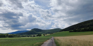 Beitragsbild des Blogbeitrags 2.7.24 - Doblhoffpark-Untermeierhof 