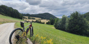 Beitragsbild des Blogbeitrags 3.7.24 - Groisbach-Sattelbach