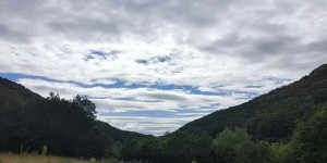 Beitragsbild des Blogbeitrags 4.7.24 - Sattelbach