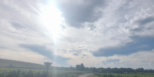 Beitragsbild des Blogbeitrags 6.7.24 - Helenental-Laxenburg-Mödlingbachradweg-Gaaden