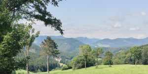 Beitragsbild des Blogbeitrags 14.7.24 - Helenental-Pfarrkogel-Weissenbach-Kienberg-Schwarzensee-Groisbach