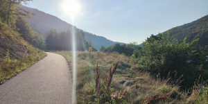 Beitragsbild des Blogbeitrags 21.7.24 - Preinsfeld