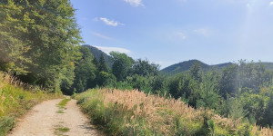 Beitragsbild des Blogbeitrags 29.7.24 - Thallern-Strecke