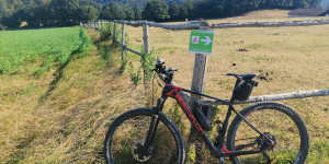Beitragsbild des Blogbeitrags 3.8.24 - Dornbach-Gaaden-Heiligenkreuz