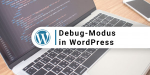 Beitragsbild des Blogbeitrags Der WordPress Debug-Modus