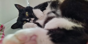 Beitragsbild des Blogbeitrags Trauriger Abschied