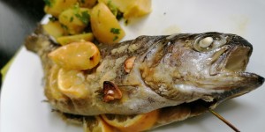Beitragsbild des Blogbeitrags :: gebratene forelle oder „alles in butter“ ::