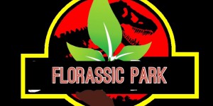 Beitragsbild des Blogbeitrags Florassic Park
