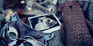 Beitragsbild des Blogbeitrags Was du über den Ultraschall in der SChwangerschaft wissen musst 