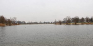 Beitragsbild des Blogbeitrags Raus aus Linz, ab zum Pichlingersee