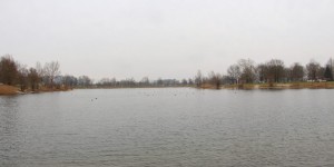 Beitragsbild des Blogbeitrags Raus aus Linz, ab zum Pichlingersee 