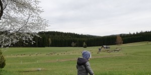 Beitragsbild des Blogbeitrags Familientanzparty