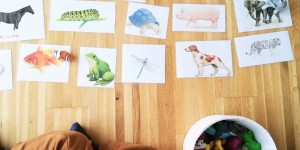 Beitragsbild des Blogbeitrags Spiel DIY für Kinder ab 2 Jahren