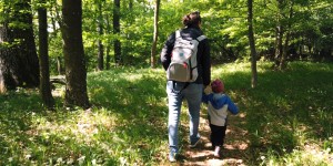 Beitragsbild des Blogbeitrags Familienvideos erstellen – Basics