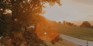 Beitragsbild des Blogbeitrags In guten Händen