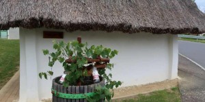 Beitragsbild des Blogbeitrags Am Rand der WEINIDYLLE: wo der Uhudler zuhause ist