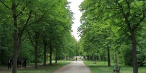 Beitragsbild des Blogbeitrags Es grünt so grün in….WIENER NEUSTADT! 12 Sehenswürdigkeiten-Tipps