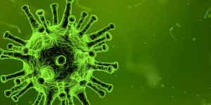 Beitragsbild des Blogbeitrags Was du während der Corona Virus Krise zuhause tun könntest