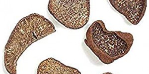 Beitragsbild des Blogbeitrags Trüffel haltbar machen - Gefriertrocknung /Lyphilisation von Trüffel - 24 Monate haltbar ohne Geschmacks- und Aromaverlust 