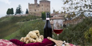 Beitragsbild des Blogbeitrags Trüffel Gesetz Italien - Nicht alle Tuber magnatum picum können als weiße Alba-Trüffel bezeichnet werden 