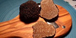 Beitragsbild des Blogbeitrags Trüffelküche - Tipps zur Handhabung und Zubereitung von schwarzen Sommertrüffeln 