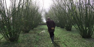 Beitragsbild des Blogbeitrags Die australische Trüffeljagd mit dem Trüffelhund wird zum Touristenboom