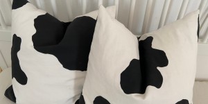 Beitragsbild des Blogbeitrags VERERBTE KUHHOSE