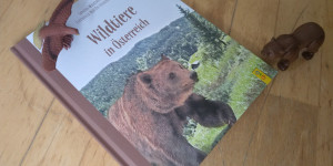 Beitragsbild des Blogbeitrags Wildtiere in Österreich [#Rezension #Kinderbuch #ab5] 