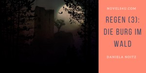 Beitragsbild des Blogbeitrags Regen (3): Die Burg im Wald