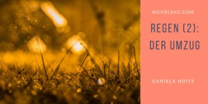 Beitragsbild des Blogbeitrags Regen (2): Der Umzug
