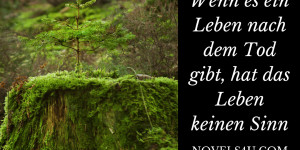 Beitragsbild des Blogbeitrags Wenn es ein Leben nach dem Tod gibt, hat das Leben keinen Sinn