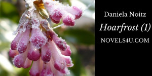 Beitragsbild des Blogbeitrags Hoarfrost (1)