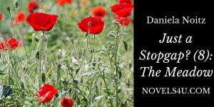 Beitragsbild des Blogbeitrags Just a Stopgap? (8): The Meadow