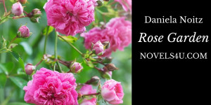 Beitragsbild des Blogbeitrags Rose Garden 