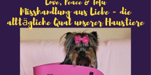 Beitragsbild des Blogbeitrags Misshandlung aus Liebe – die alltägliche Qual unserer Haustiere 