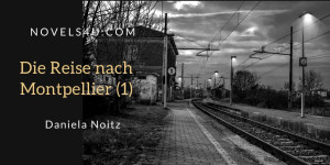 Beitragsbild des Blogbeitrags Die Reise nach Montpellier (1)