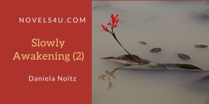 Beitragsbild des Blogbeitrags Slowly Awakening (2)
