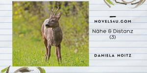Beitragsbild des Blogbeitrags Nähe & Distanz (3)