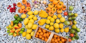 Beitragsbild des Blogbeitrags Die letzte Ernte im Gartenjahr 