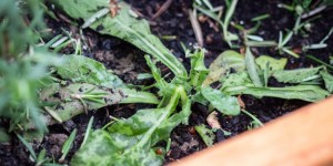 Beitragsbild des Blogbeitrags Hagel-Unwetter in Forchtenstein, Mattersburg