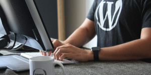 Beitragsbild des Blogbeitrags Lokale WordPress-Entwicklungsumgebung: MAMP-Installation auf MacOS