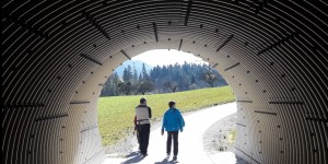 Beitragsbild des Blogbeitrags G.F. Stöger: 28 Tage. Der (nicht) ganz normale Wahnsinn
