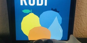 Beitragsbild des Blogbeitrags Einmal Salzburg, bitte schön: Anna Herzigs Herr Rudi