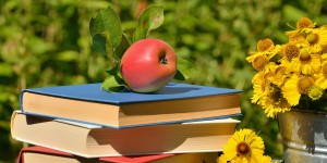 Beitragsbild des Blogbeitrags Lesetipps für einen etwas anderen Sommer