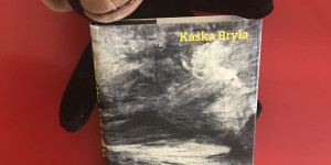 Beitragsbild des Blogbeitrags Freundschaft, Liebe und Verrat: Káska Brylas Roter Affe