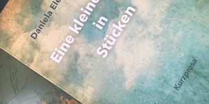 Beitragsbild des Blogbeitrags Spurensuche: Daniela Elena Trummers Eine kleine Welt in Stücken